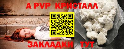 амф Новозыбков