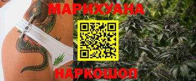 амф Новозыбков