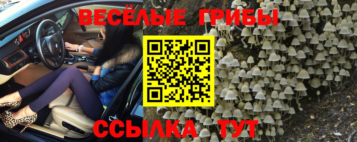 Тольятти  Псилоцибиновые грибы GOLDEN TEACHER  Вход с VPN 