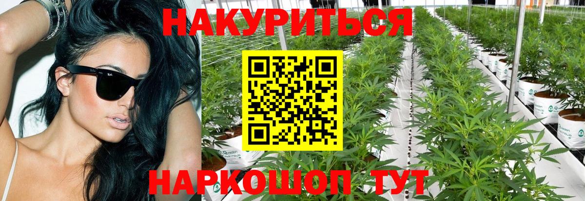 Конопля MAZAR  Вход с VPN  Тольятти  Бошки марихуана конопля 